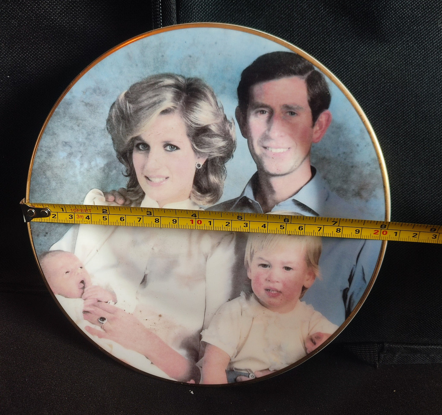 Connoisseur Prince & Princess of Wales Fine Bone China Collectors Plate