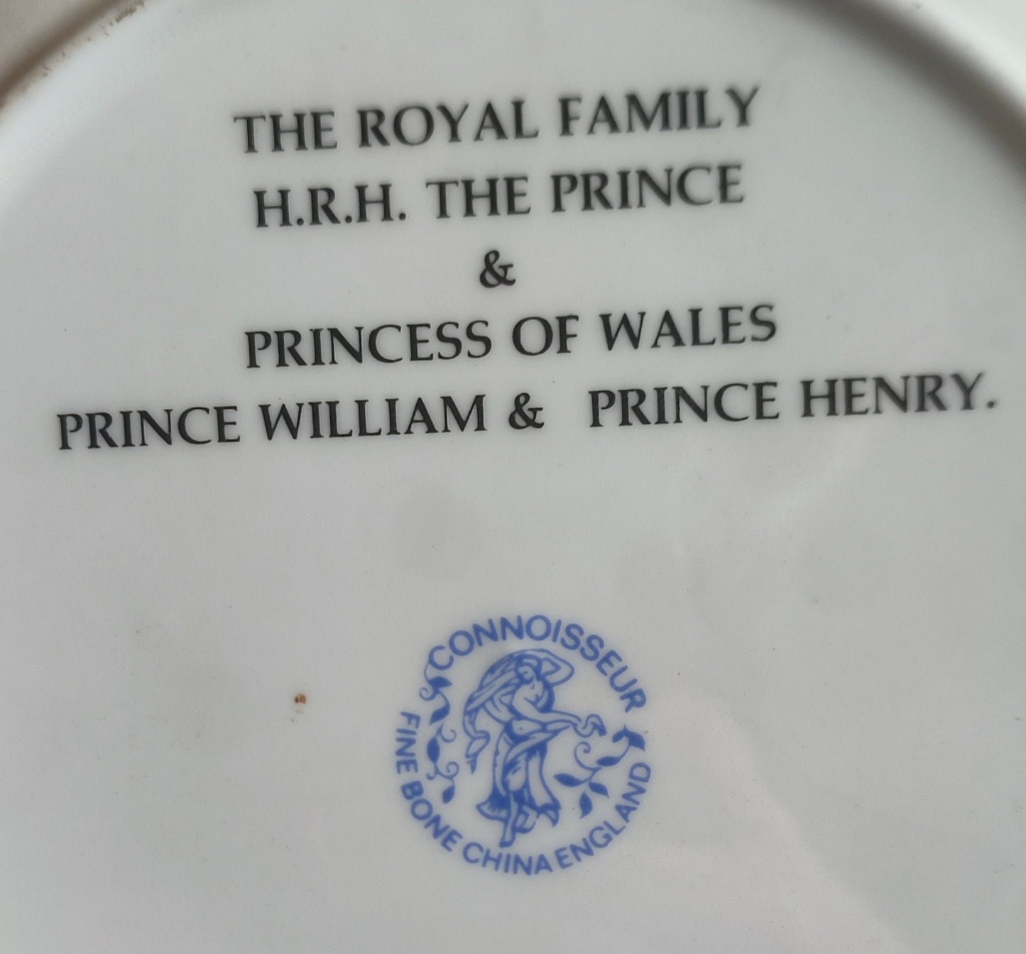 Connoisseur Prince & Princess of Wales Fine Bone China Collectors Plate